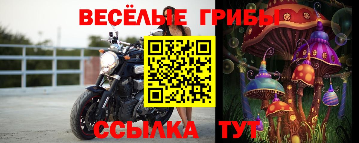 Кашира  Галлюциногенные грибы GOLDEN TEACHER  Вход с VPN  Псилоцибиновые грибы Magic Shrooms 